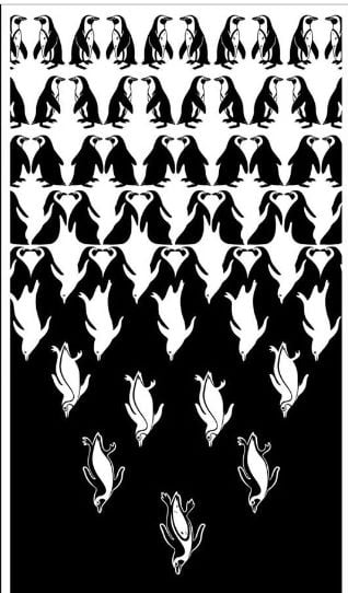 پوستر تبلیغاتی SANCCOB برای نجات پنگوئن‌های آفریقایی